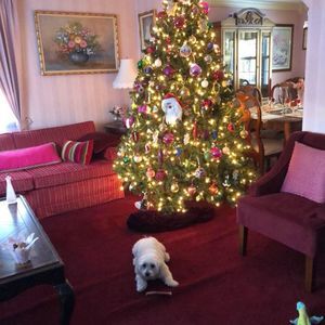 Meet your Posher, Joyce